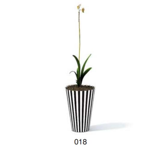 小型装饰植物 3Dmax模型. (18).jpg