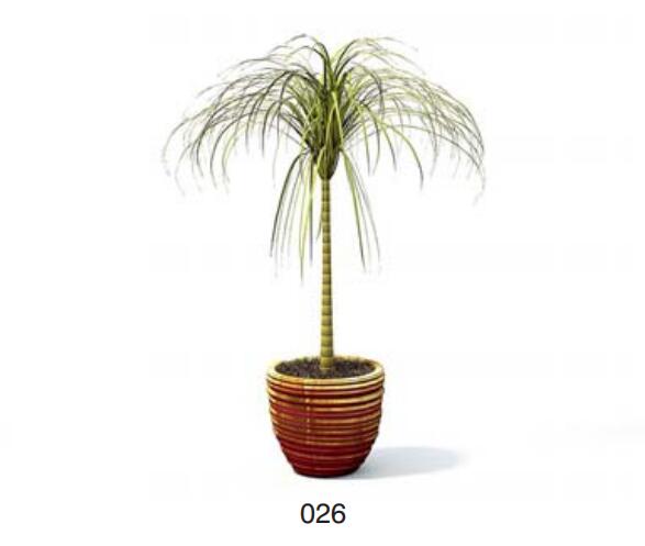 小型装饰植物 3Dmax模型. (26).jpg