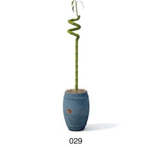 小型装饰植物 3Dmax模型. (29).jpg