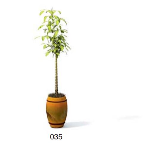 小型装饰植物 3Dmax模型. (35).jpg