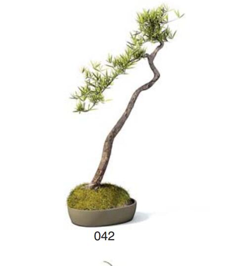 小型装饰植物 3Dmax模型. (42).jpg