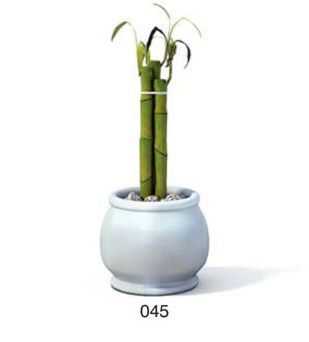 小型装饰植物 3Dmax模型. (45).jpg