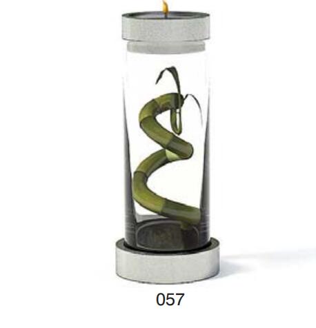 小型装饰植物 3Dmax模型. (57).jpg