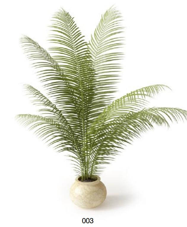 盆栽植物3Dmax模型 (3).jpg