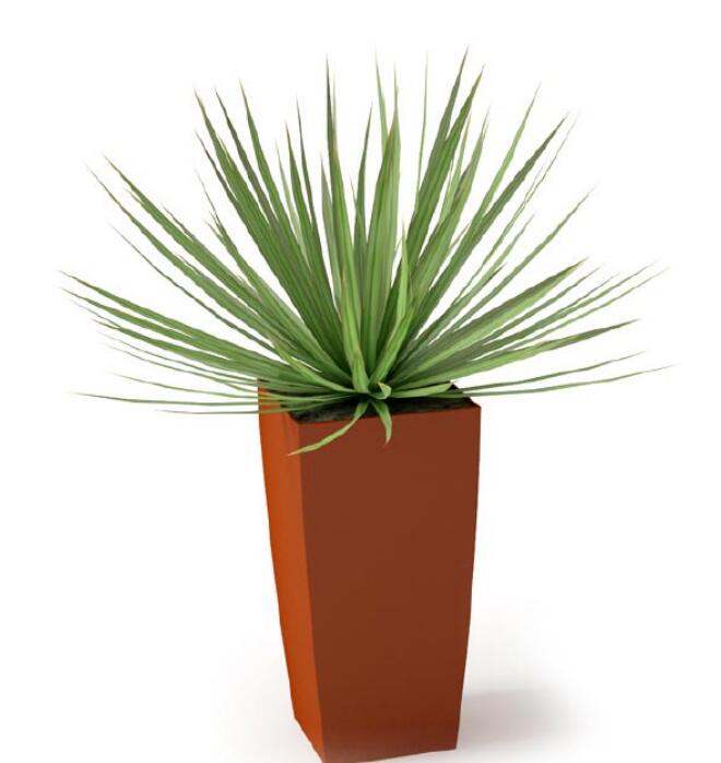 盆栽植物3Dmax模型 (16).jpg