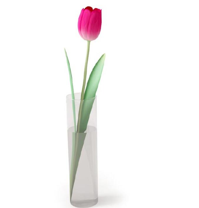 盆栽植物3Dmax模型 (19).jpg