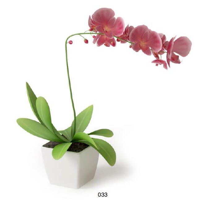 盆栽植物3Dmax模型 (33).jpg