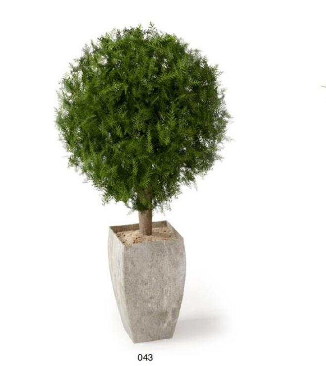 盆栽植物3Dmax模型 (43).jpg