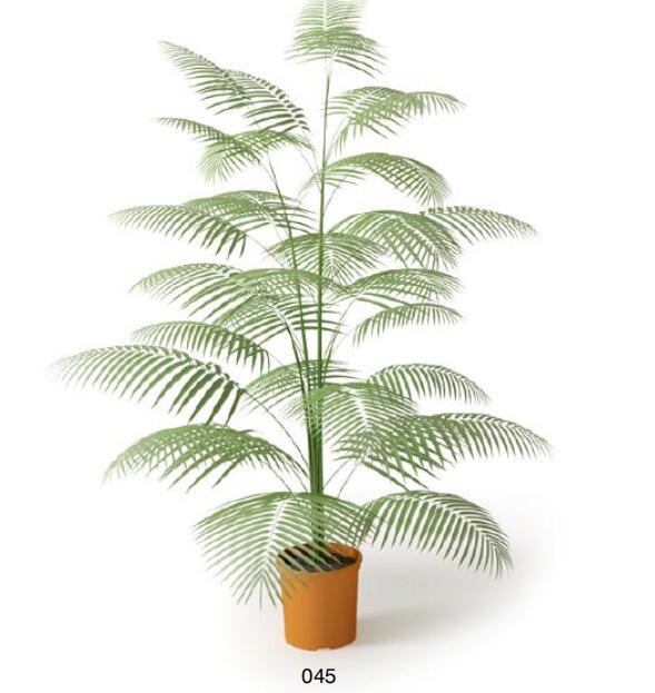 盆栽植物3Dmax模型 (45).jpg