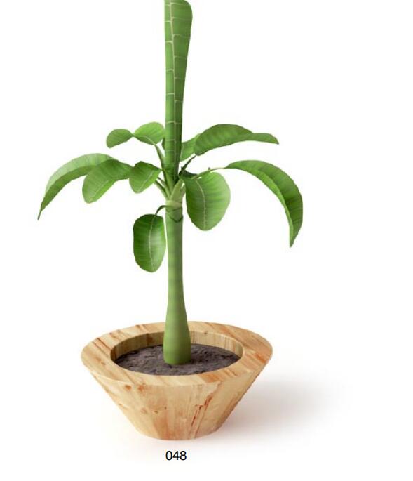 盆栽植物3Dmax模型 (48).jpg