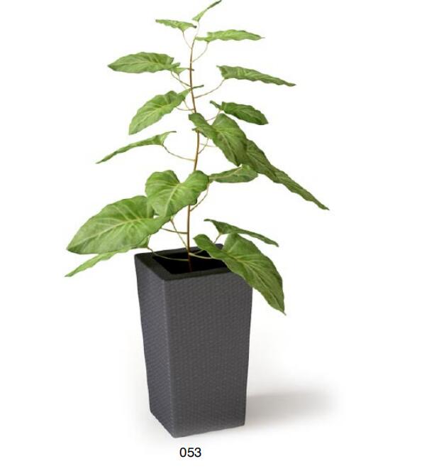 盆栽植物3Dmax模型 (53).jpg