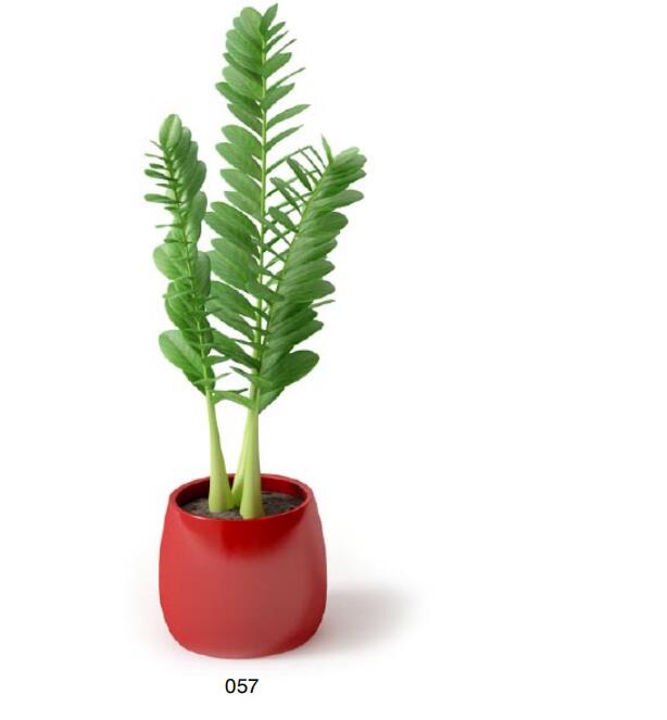 盆栽植物3Dmax模型 (57).jpg