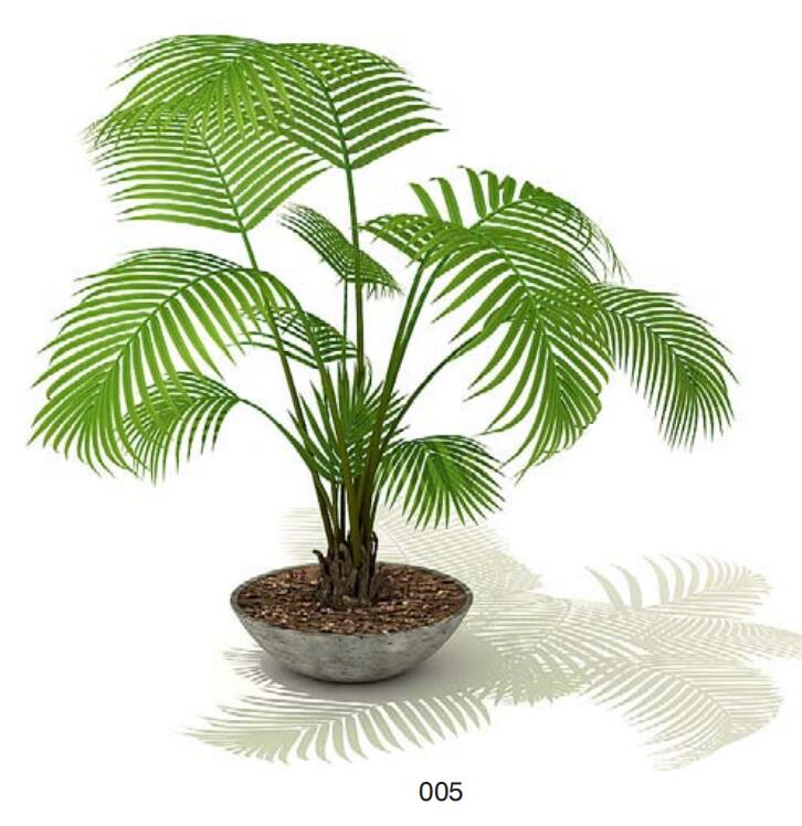 室内盆栽植物3Dmax模型 (5).jpg