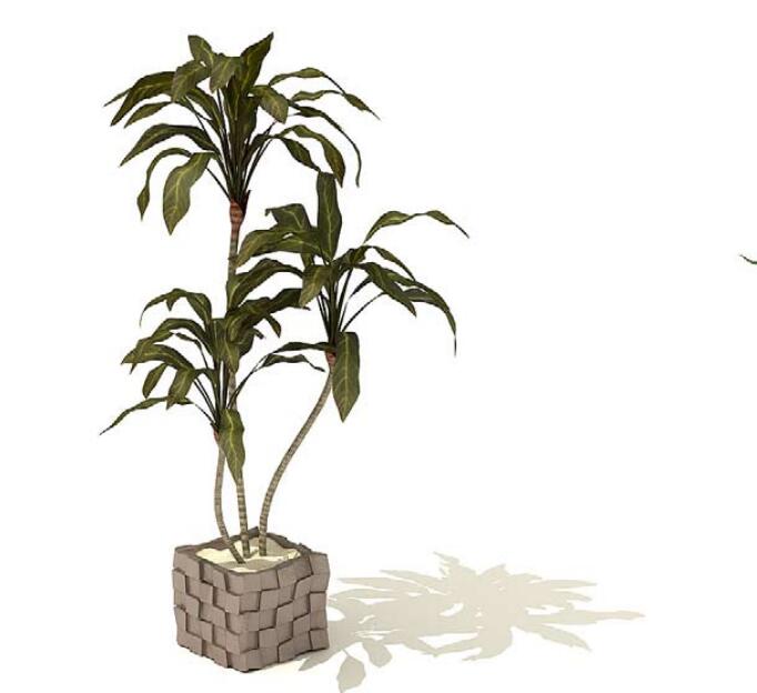 室内盆栽植物3Dmax模型 (19).jpg