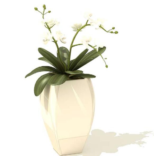 室内盆栽植物3Dmax模型 (51).jpg