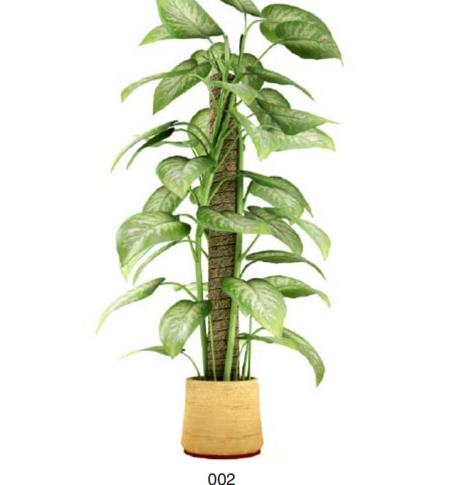 盆栽植物3Dmax模型第二季 (2).jpg