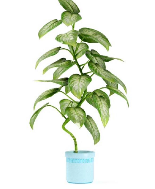 盆栽植物3Dmax模型第二季 (4).jpg