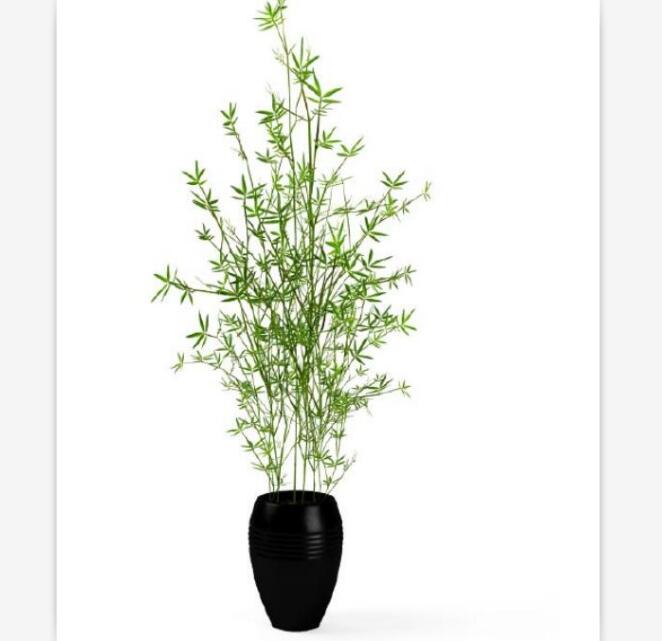 盆栽植物3Dmax模型第二季 (8).jpg