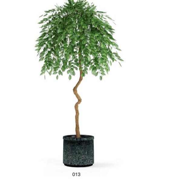 盆栽植物3Dmax模型第二季 (13).jpg