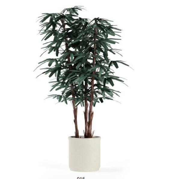 盆栽植物3Dmax模型第二季 (15).jpg