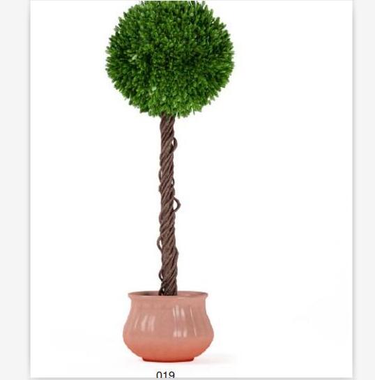 盆栽植物3Dmax模型第二季 (19).jpg