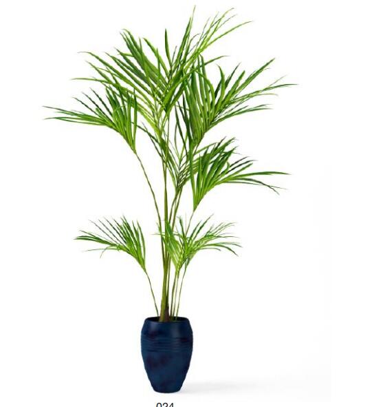 盆栽植物3Dmax模型第二季 (24).jpg