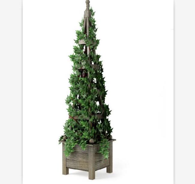 盆栽植物3Dmax模型第二季 (33).jpg