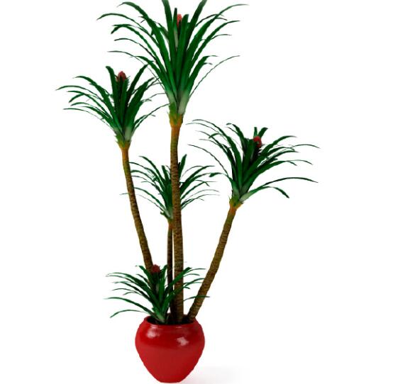 盆栽植物3Dmax模型第二季 (35).jpg