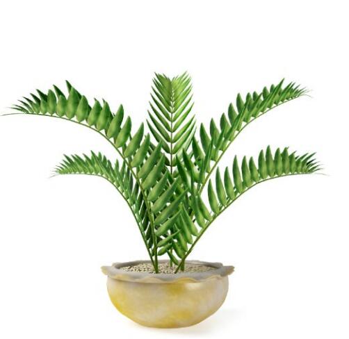 盆栽植物3Dmax模型第二季 (41).jpg