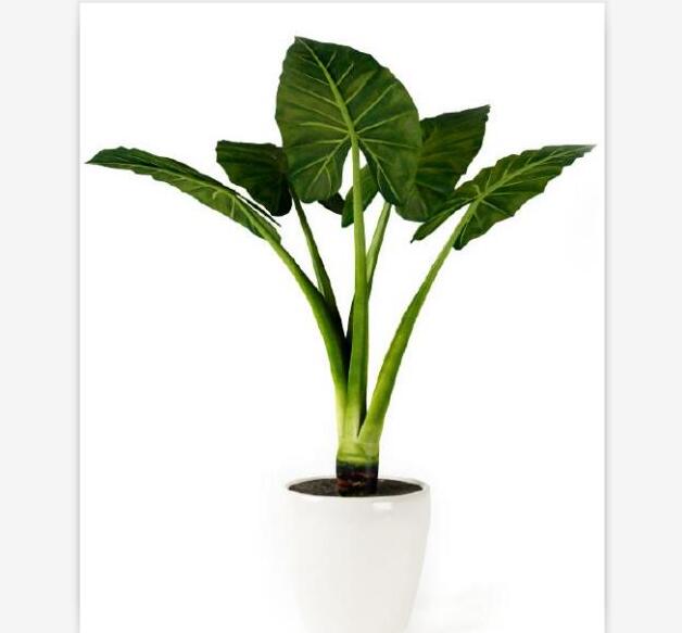 盆栽植物3Dmax模型第二季 (42).jpg