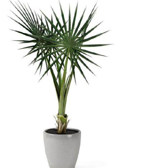 盆栽植物3Dmax模型第二季 (47).jpg