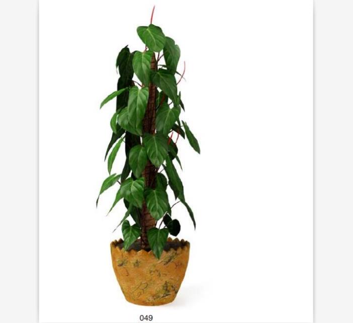盆栽植物3Dmax模型第二季 (49).jpg
