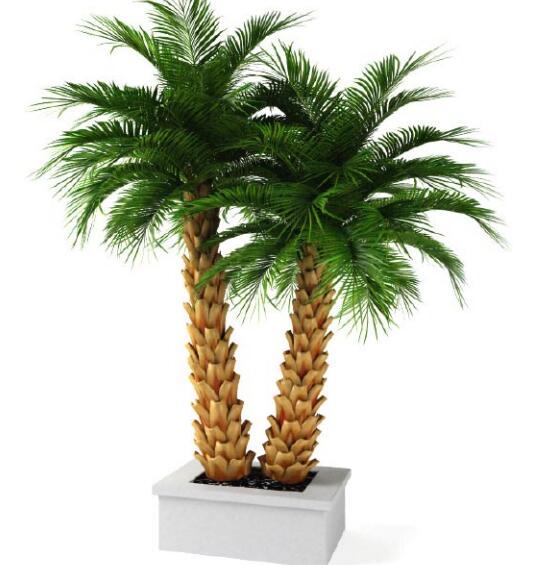 盆栽植物3Dmax模型第二季 (53).jpg
