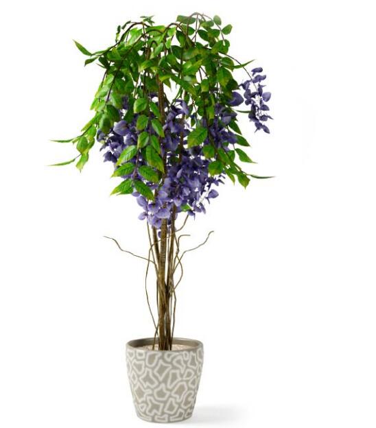 盆栽植物3Dmax模型第二季 (65).jpg