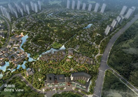 QQ截图20200101194108.jpg